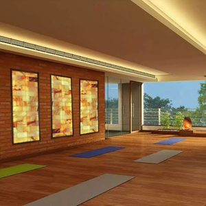 CUSTOM SALT WALLS: PRE-BUILT TO YOUR SIZE (UP TO 6’X6′)